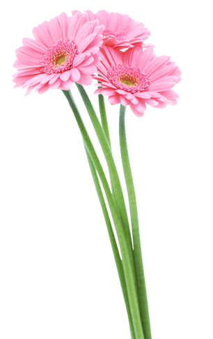 New Era Skin Aesthetics