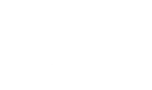 NS logo